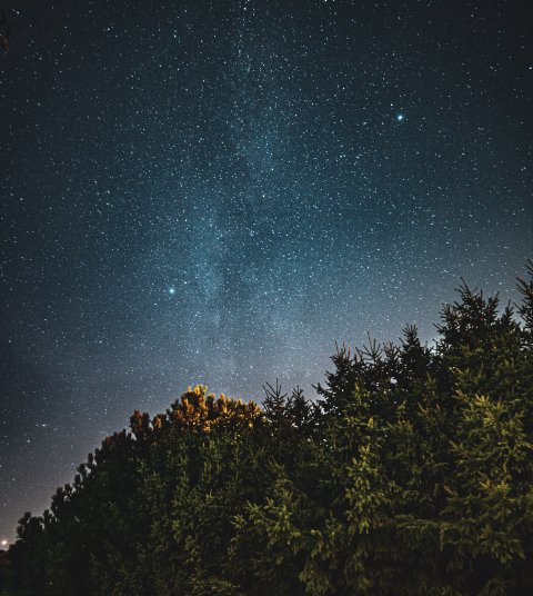Stargazing experience above Ojaswi Resort rooftops in Mukteshwar with a clear night sky and Himalayan forest surroundings